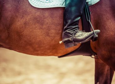 An Open Letter to Young Equestrians