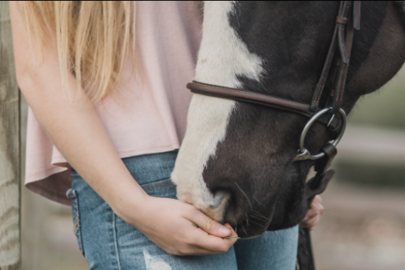8 THINGS COVID-19 LOCKDOWN TAUGHT US TO VALUE AS EQUESTRIANS